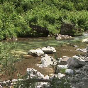 saut a lelastique pau gave dossau valle dossau pyrenees atlantiques viaduc arudy 64